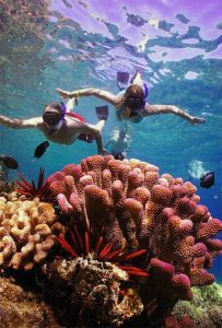 f210a70f 494b 4995 b760 25a31f51c7fd