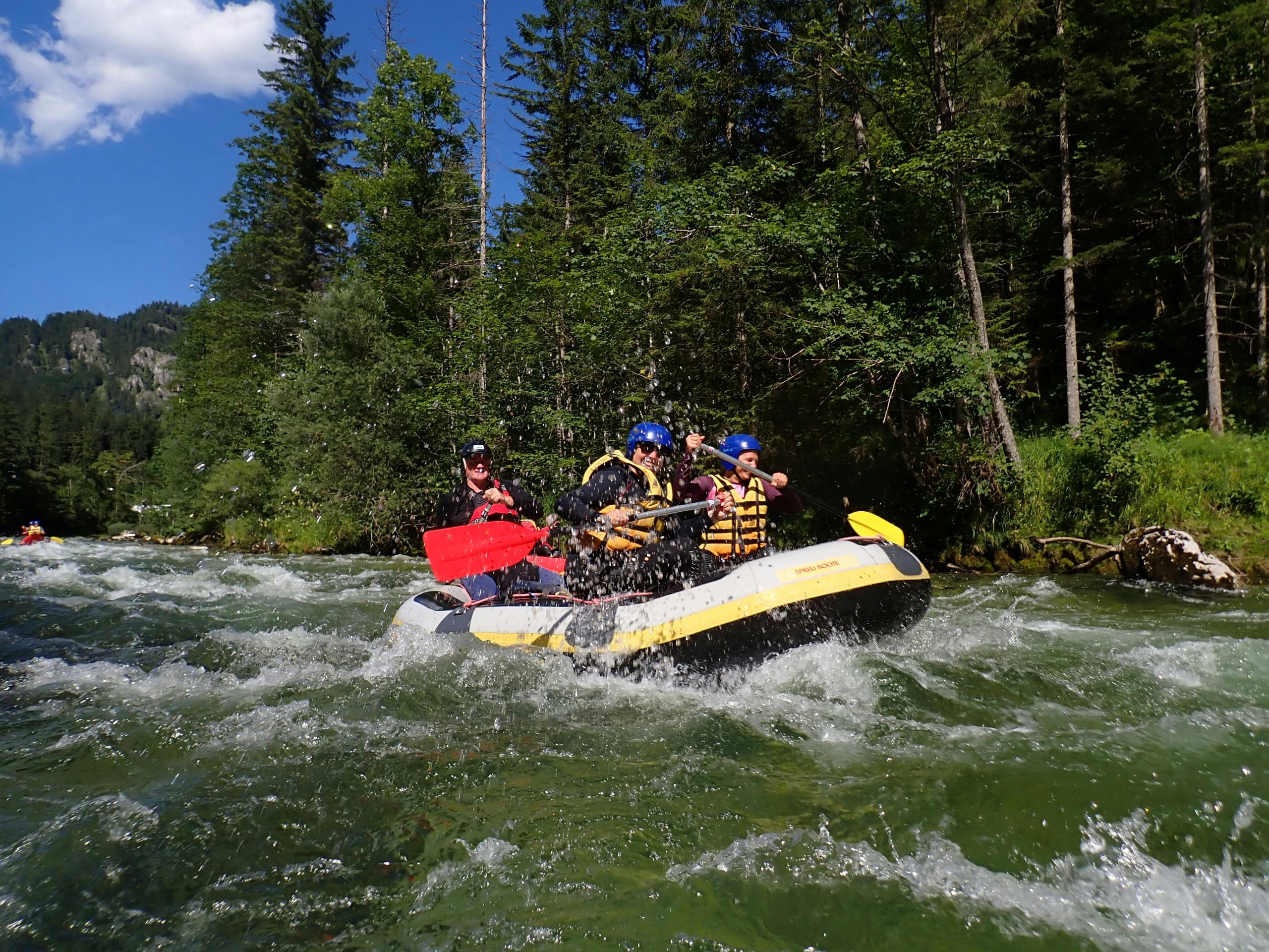 A group of adventurers navigate white water rapids in a forested river setting, enjoying an exhilarating outdoor experience.